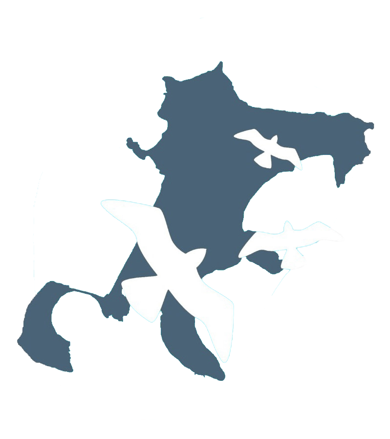 Procida walking tour logo
